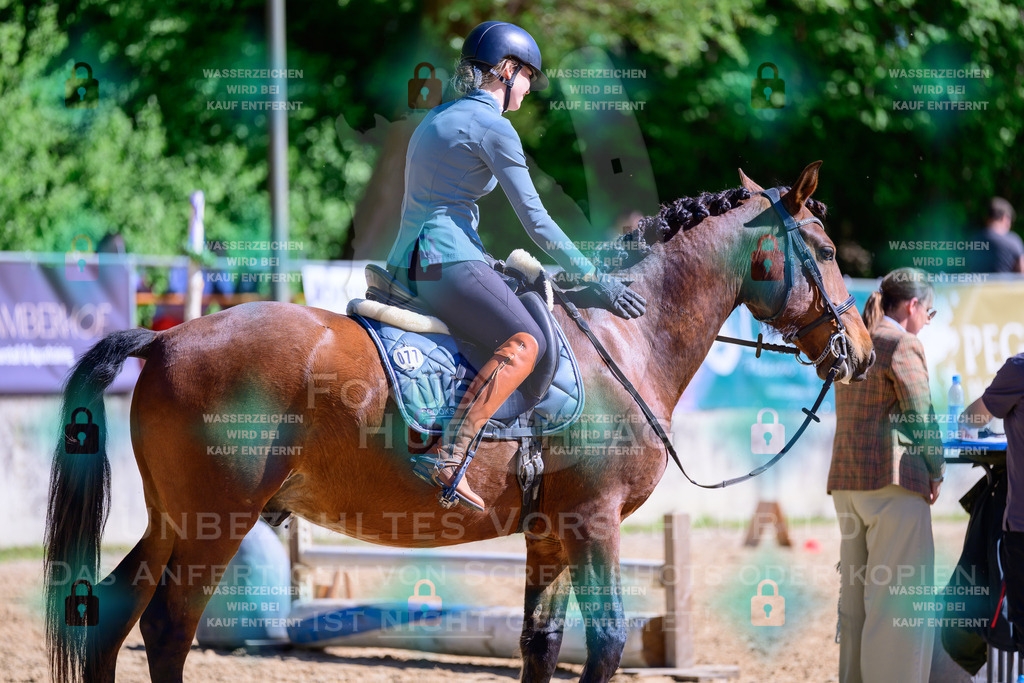 01052026-Giesenbach-02-Stiltrail-0749 | Fokus Hufschlag Fotografie - Realisiert mit Pictrs.com