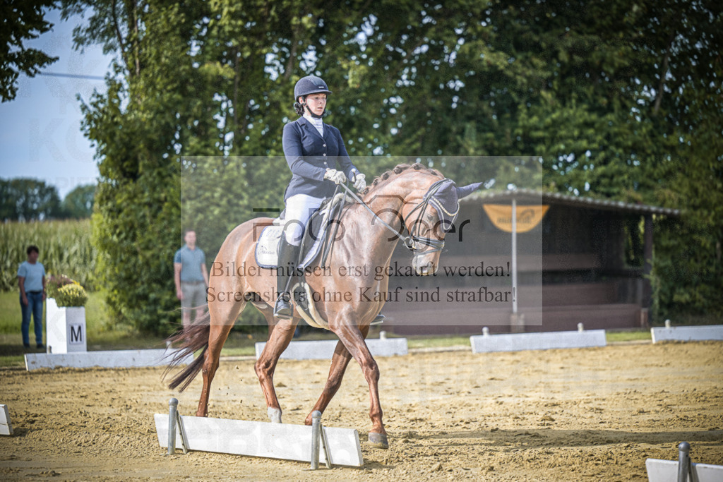 DOS_8054 | Entdecke hochwertige Reitturnierfotos von Foto Oger. Professionell, emotional und authentisch – jetzt Lieblingsmomente im Shop bestellen.Deutschlandweite Turnierfotografie. - Realisiert mit Pictrs.com