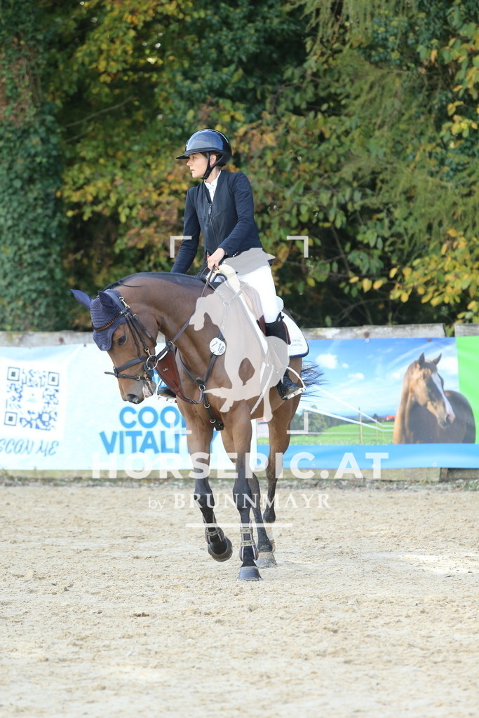 DL2Q4710 | Willkommen bei Brunnmayr - Design & Fotografie – Ihrem Spezialisten für Reitturniere und Pferdeveranstaltungen in Oberösterreich, Salzburg und Bayern! Seit über 17 Jahren sind wir leidenschaftlich dabei.