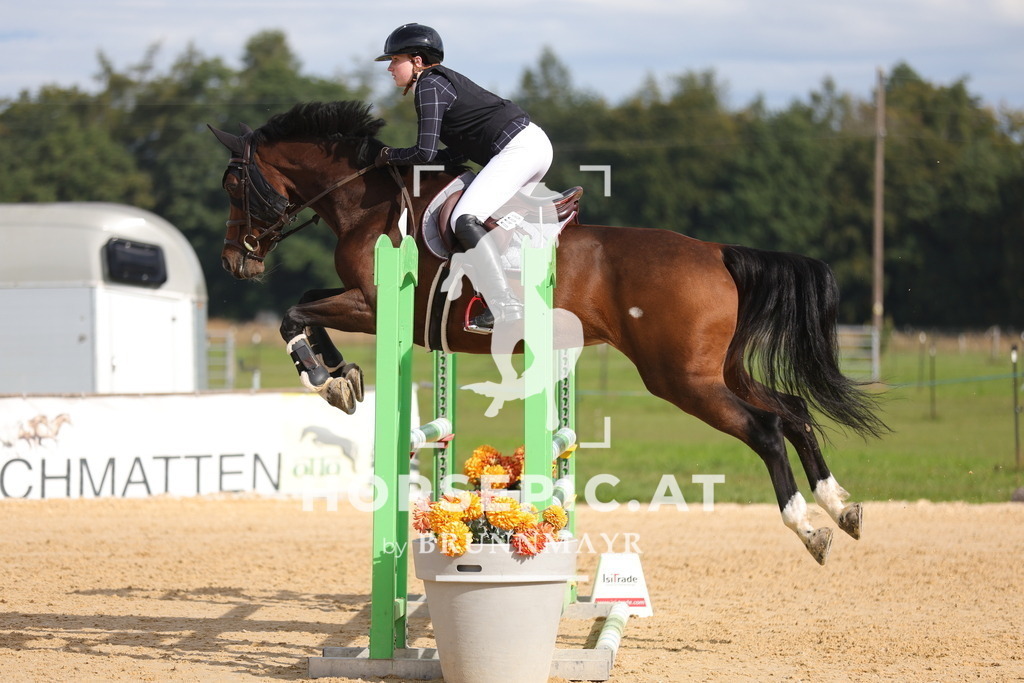 0P6A4619 | Willkommen bei Brunnmayr - Design & Fotografie – Ihrem Spezialisten für Reitturniere und Pferdeveranstaltungen in Oberösterreich, Salzburg und Bayern! Seit über 17 Jahren sind wir leidenschaftlich dabei.