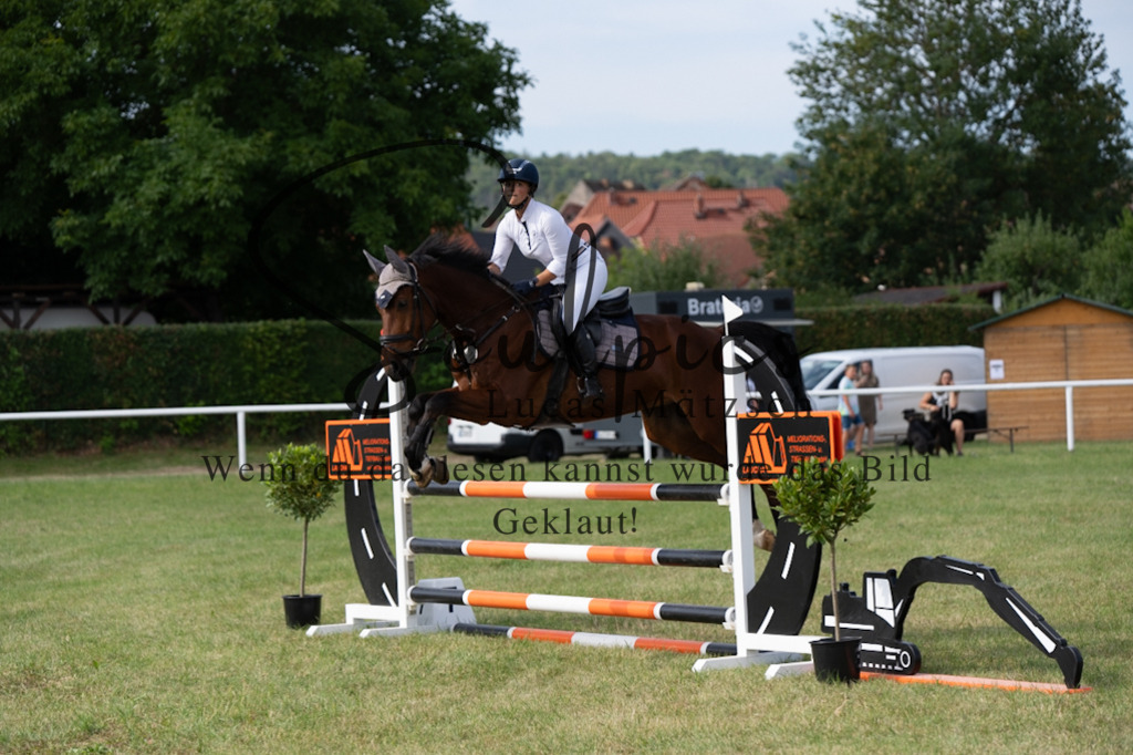 A7V01450 | Pferdefotograf