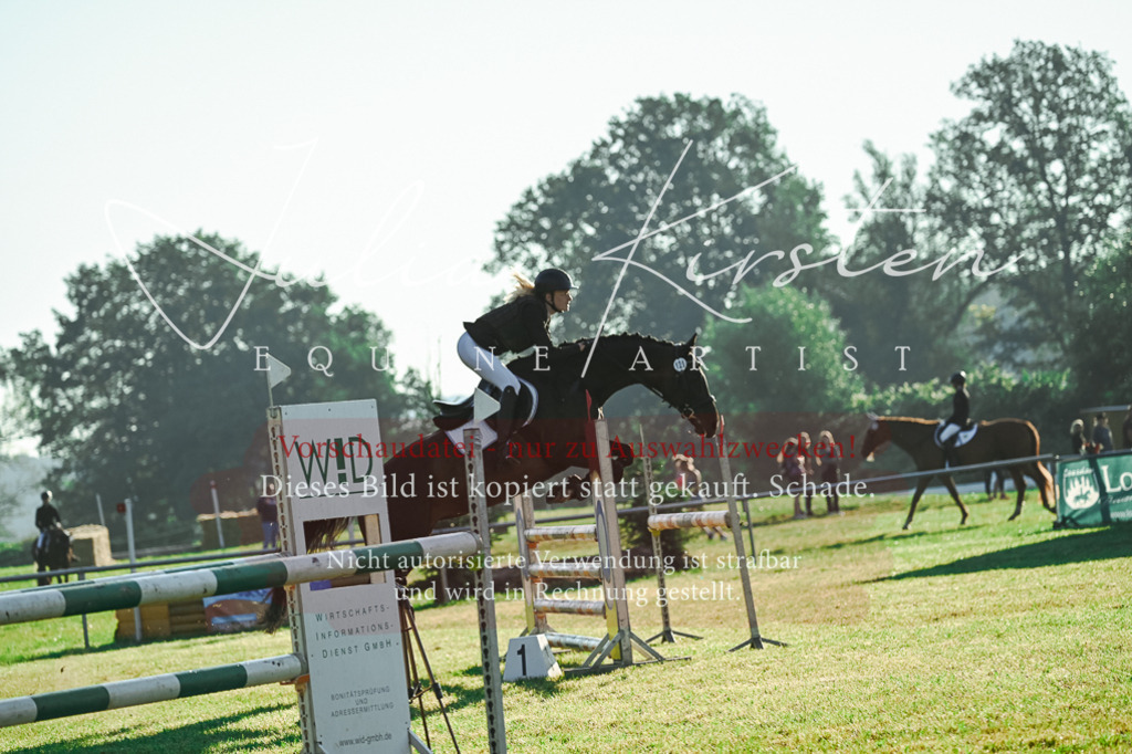 DSC_4208 | Pferde- und Turnierfotografie in Westsachsen. Pferdeportraits, Auftragszeichnungen und intuitive Kunst.