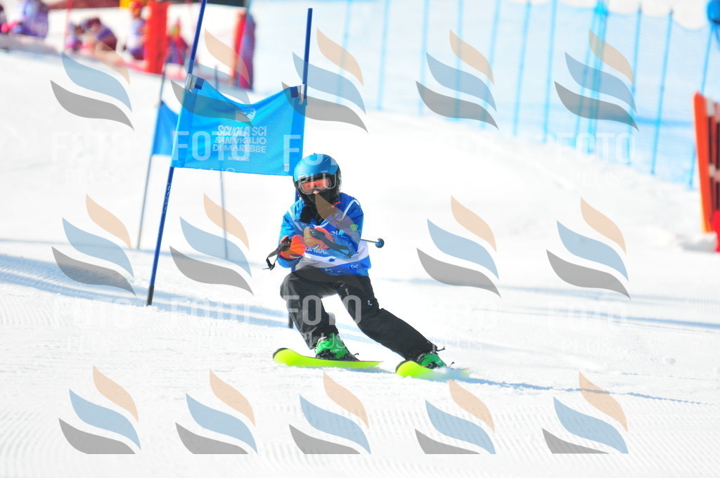 B8771 | holidayphoto