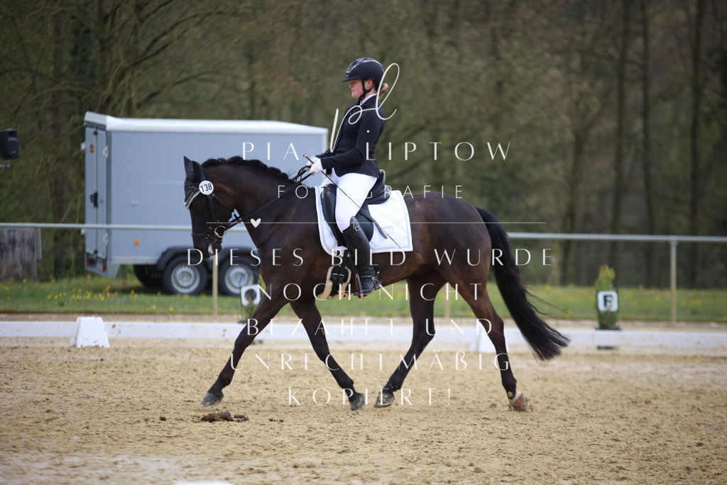 IMGT7051 | pl-fotografie