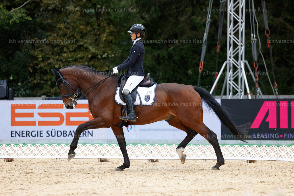 3-197-Dressur M_-StoibPH-2451 | working equitationturnier fotograf videograf stoibphotography marixx film working equitation deutschland reitsport turnierfotografie eventfotografie equestrian events