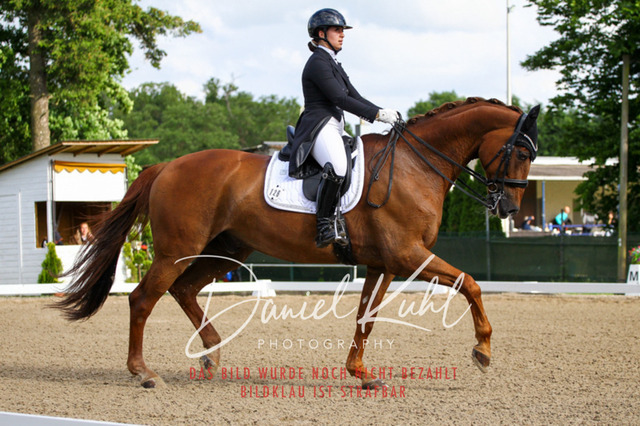 DKP41596 | Deine Turnierfotos vom Reitturnier online kaufen: Dressur, Springen & Siegerehrung. Professionelle Pferdefotografie aus dem Rheinland – als Download & Print.Alternative: Turnierfotograf für den Pferdesport: Finde deine Fotos von Dressur- und Springturnier