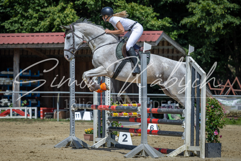 20260704-_3LI0335 | Tierfotografie Pferde, Hunde, Katzen, Haustiere.
Turnierfotografie Reitturniere, Reiten, Springreiten, Dressur in Hanau, dem Main-Kinzig-Kreis und dem Rhein-Main- Gebiet um Frankfurt