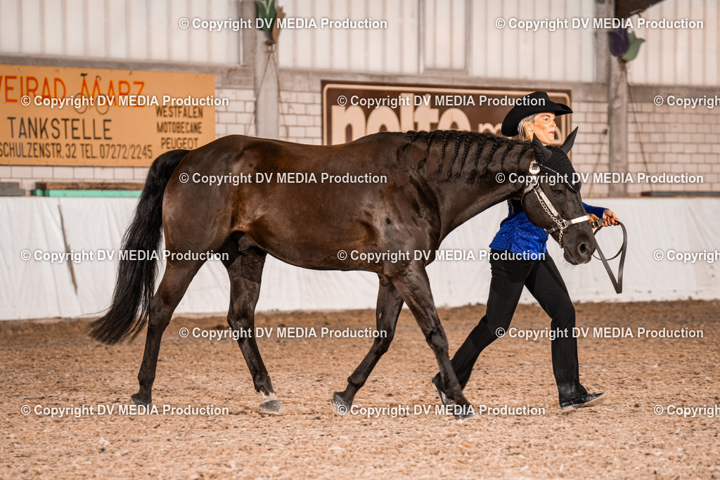 ZH100028 | dv-media-shop - Realisiert mit Pictrs.com