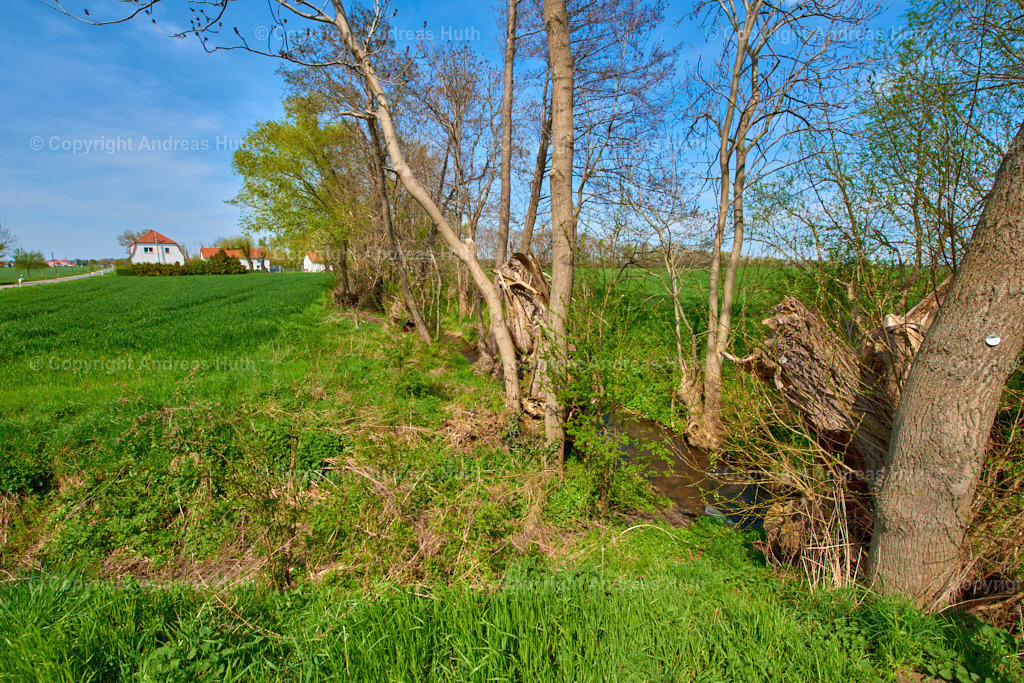 Blick vom Elsterfloßgraben in Richtung Lützen 01 | Bedeutsame Landschaften Deutschlands - Realisiert mit Pictrs.com