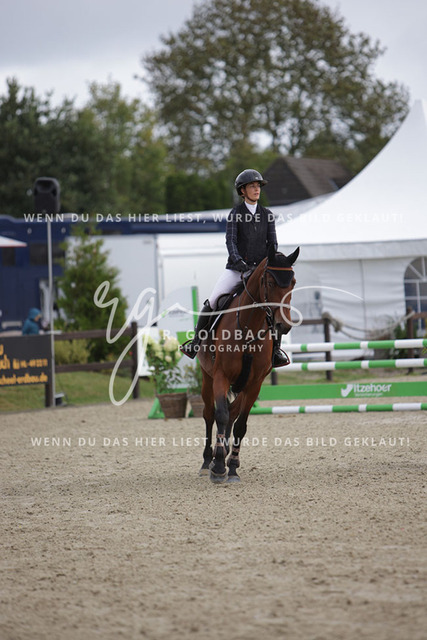 1J2A9123Antonia Selina Brinkop_ DIA Pleasure 2_ Kn379_ Havekost | Foto- und Videografie für alles rund ums Pferd. Hochwertige Bilder und Videos vom Spring- und Dressurreiten, Voltigieren & mehr. Jetzt aktuelle Veranstaltungen und Preise im Shop ansehen. - Realisiert mit Pictrs.com