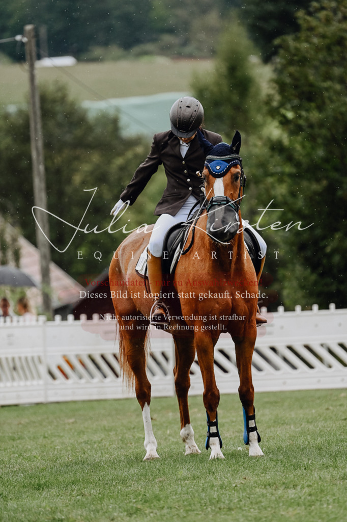 DSC_6964 | Pferde- und Turnierfotografie in Westsachsen. Pferdeportraits, Auftragszeichnungen und intuitive Kunst.