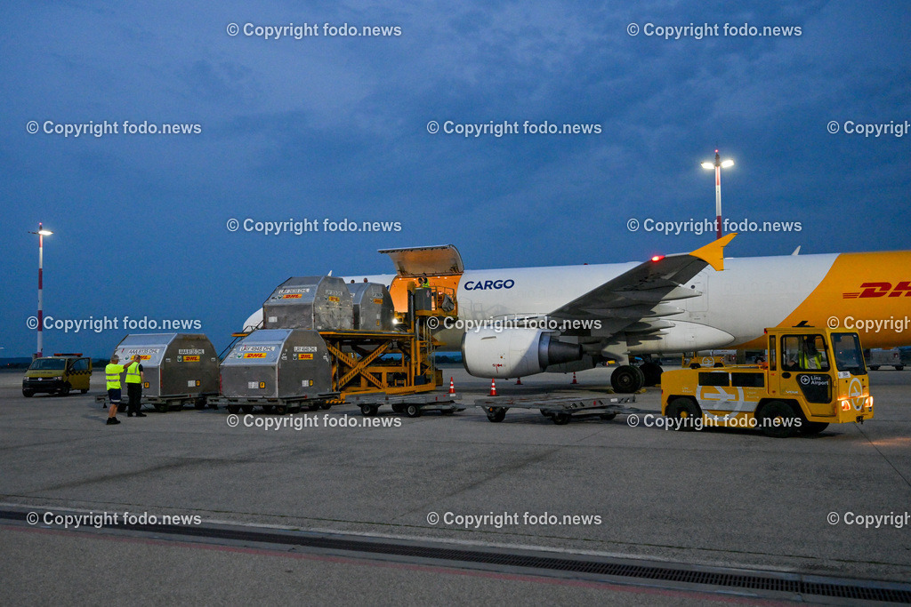 DHL Hoersching_ Warehouse_ Pakete_ Flugzeugbeladung_ 26.06.2023-86 | 26.06.2023, Linz Hoersching, AUT, DHL Hoersching, Warehouse, Flugzeugbeladung Pakete, im Bild Frachtflugzeug wird mit Frachtcontainer beladen