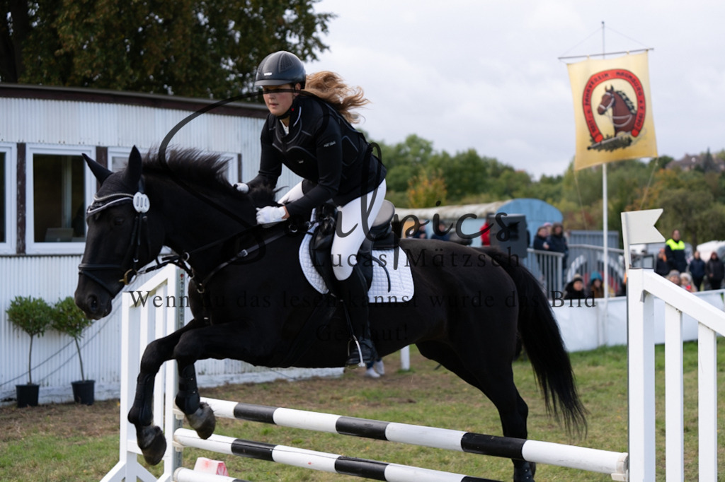 A7V06476 | Pferdefotograf