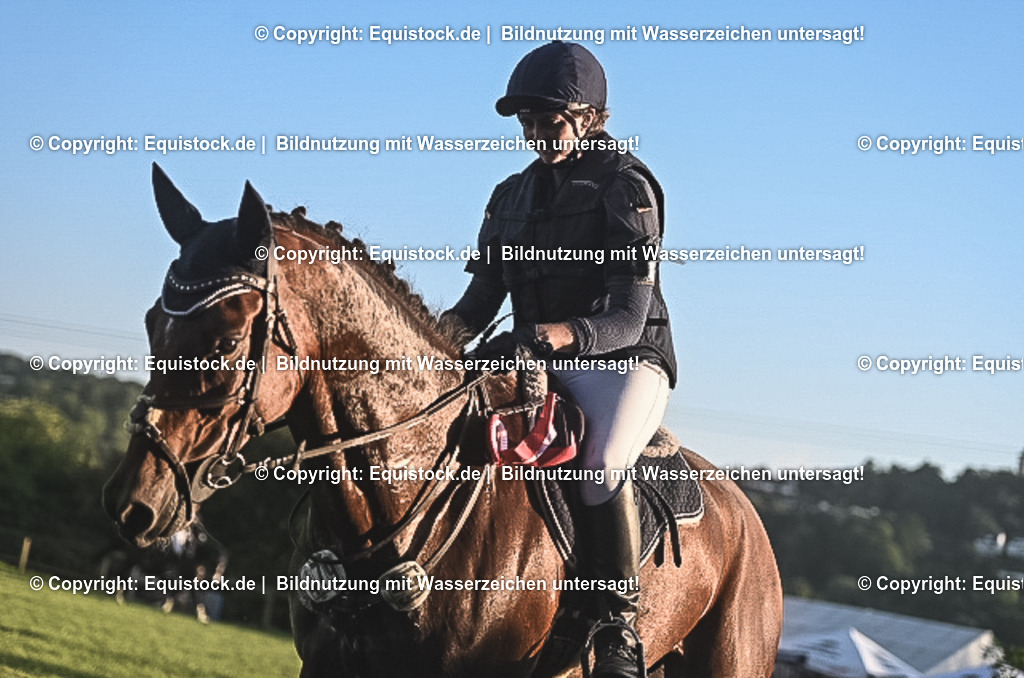 20230909_20_Leonberger-Derby_0185 | equistock