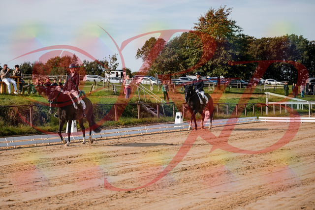 2026_10_03_Siefer-Hof_113252_Z63_19314187 | Professionelle Reitsport-, Turnier- und Eventfotografie von Robert Broda. Galerien mit ausgewählten und bearbeiteten Bildern direkt online ansehen und bestellen.