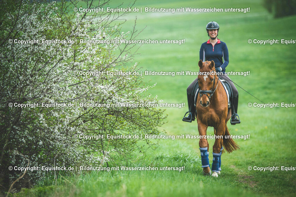 TS_20170414_Ausreiten_Fr__hling_0001 1 | Foto: Thomas Hartig