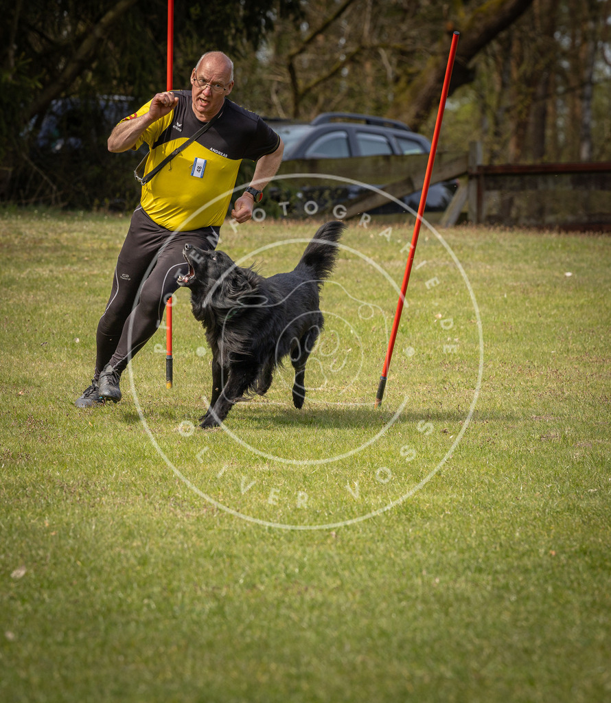 Pfotenfotografie_DV3A8139 | Hundefotografie, Tierfotograf, Pfotenfotografie, Fotoshooting Hund, Hunde Portrait, Hundesport, Hundeportraits, Heideshooting, Hunde, Sportfotograf, Hundefotograf, Turnierhundsport, THS,  - Realisiert mit Pictrs.com