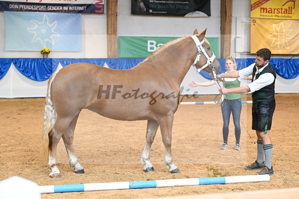 Kat-Nr. 64 Heleni_Hoeck_53220201 | hf-fotografie - Realisiert mit Pictrs.com