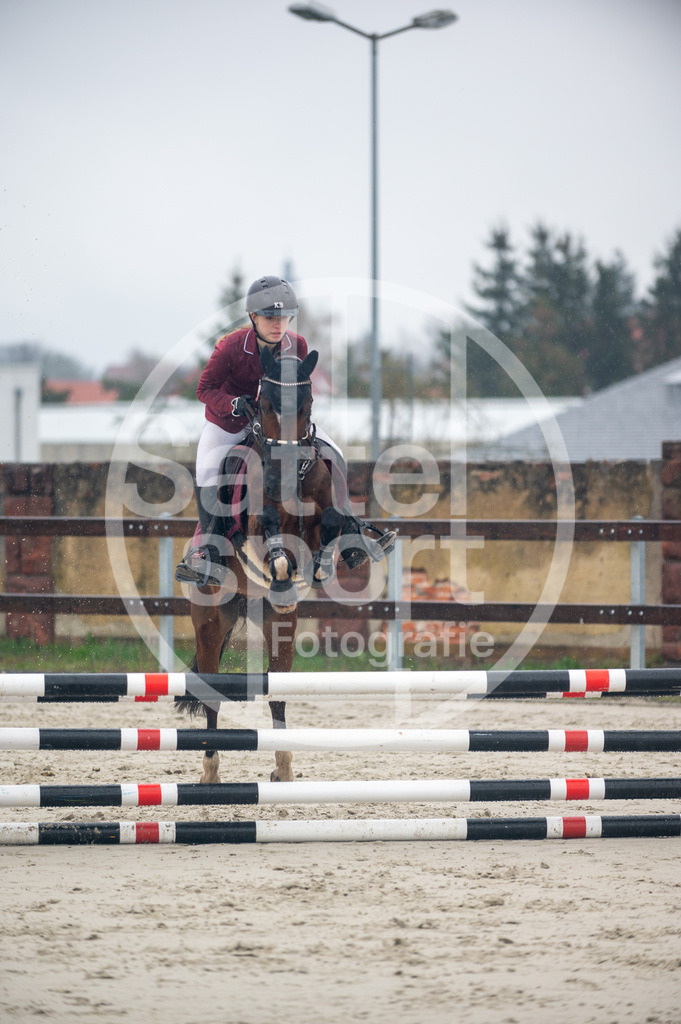 DSC_8556 | sattelsport - Realisiert mit Pictrs.com