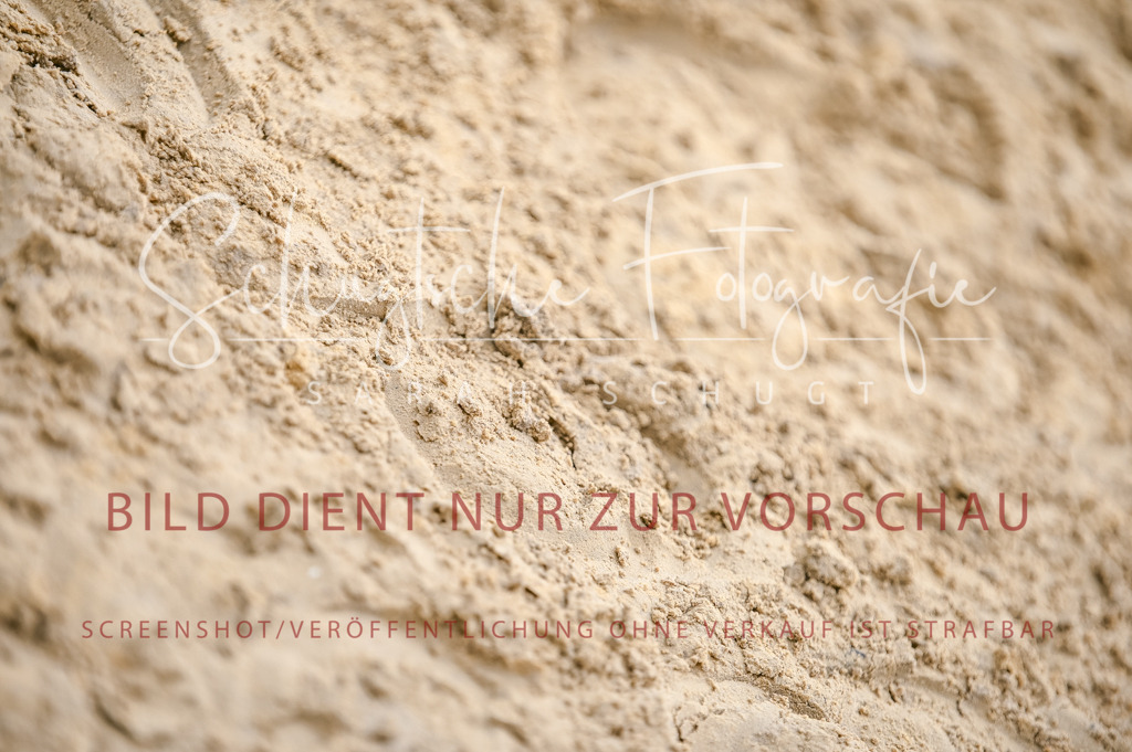 Schugtsche-Aluta25-42.EDressur -426 | Schugtsche Fotografie - Realisiert mit Pictrs.com