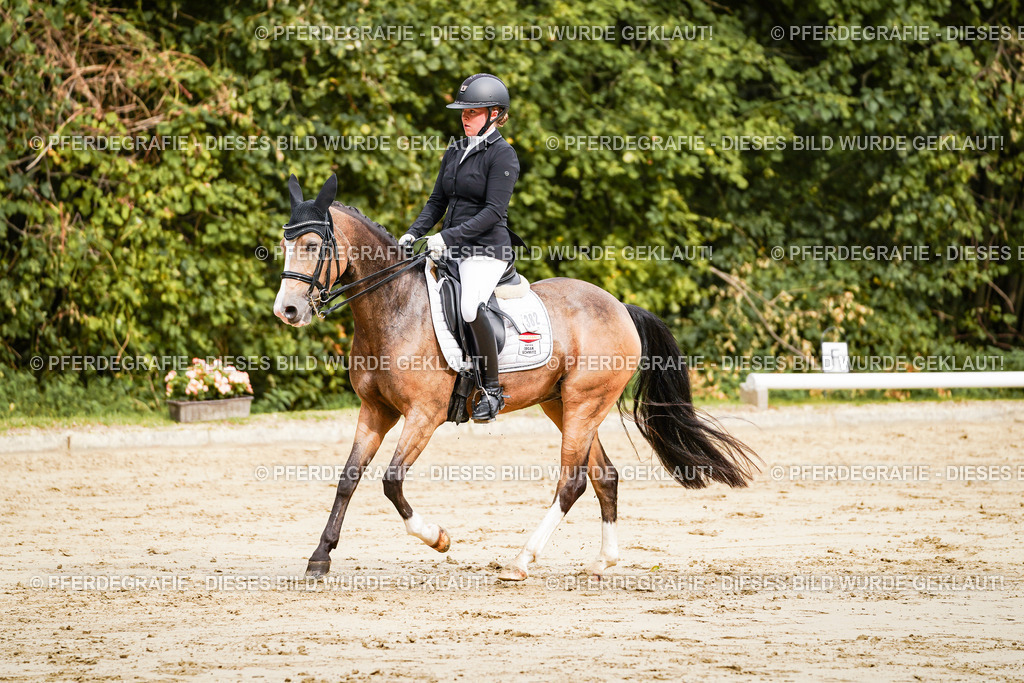 DSC02877 | Pferdegrafie