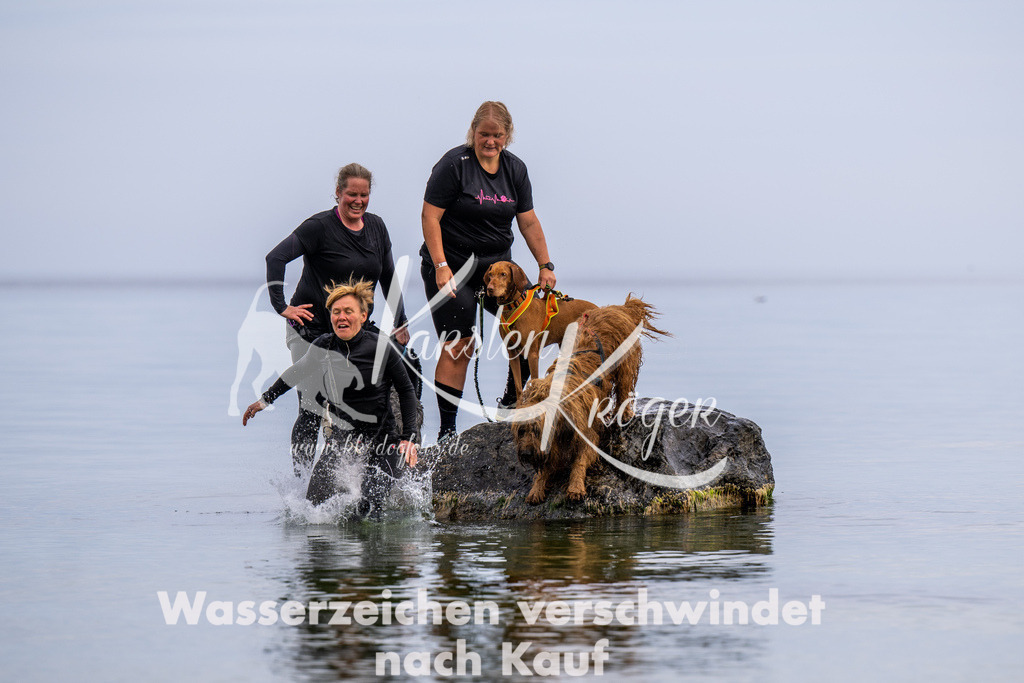 1228_ZZ91808 | kk-dogfotos