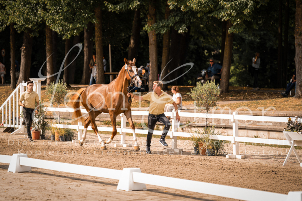 FrER00071 | Leoni Ertmer Photography - Realisiert mit Pictrs.com