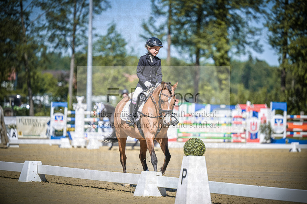 DOS_7881 | Entdecke hochwertige Reitturnierfotos von Foto Oger. Professionell, emotional und authentisch – jetzt Lieblingsmomente im Shop bestellen.Deutschlandweite Turnierfotografie. - Realisiert mit Pictrs.com