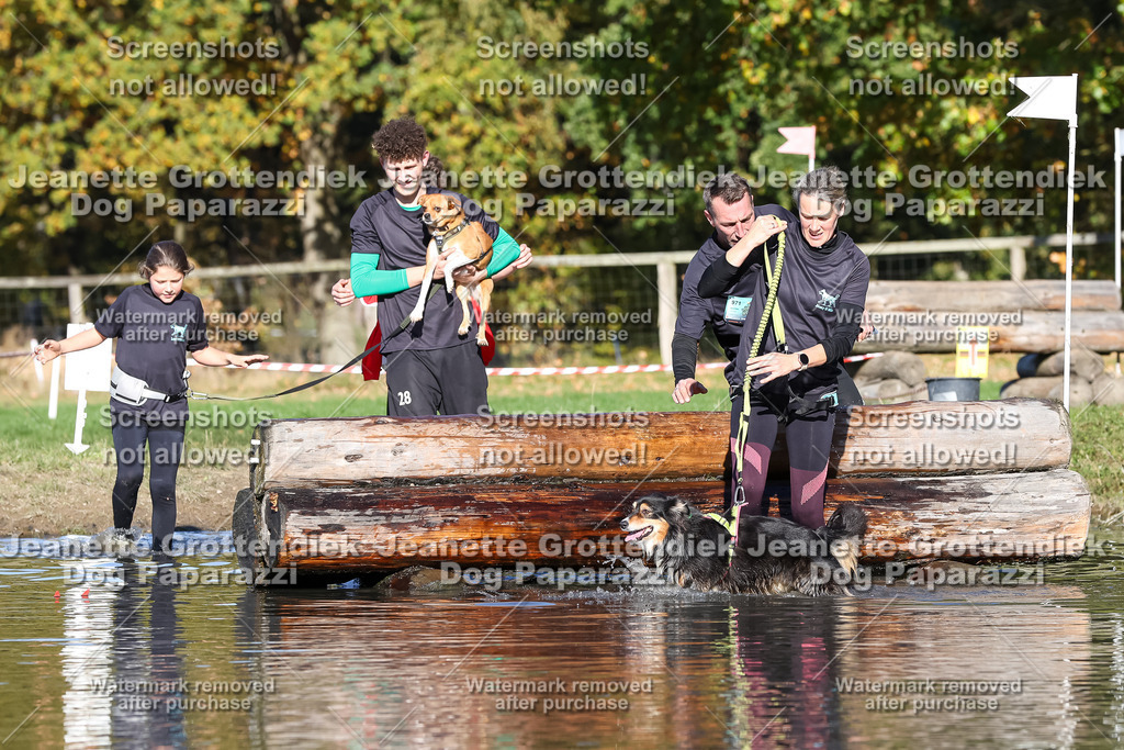 Dog Paparazzi - Strongdog 10-25-8950 | Dog Paparazzi Jeanette Grottendiek Fotografie & Videografie - Realisiert mit Pictrs.com