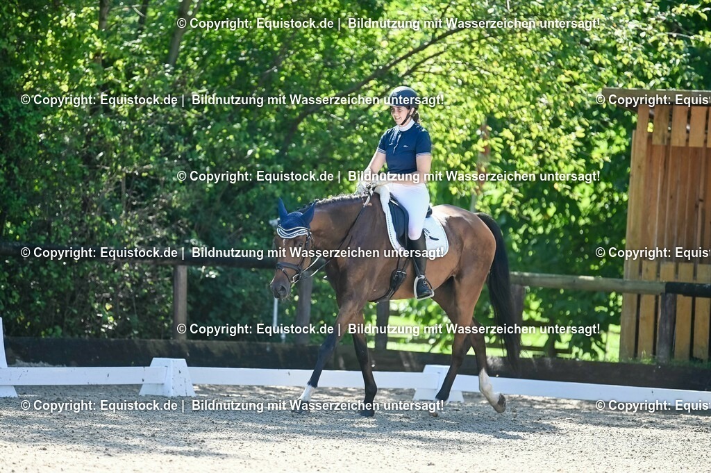 20230908_06_Dressur-L-Trense_0238 | equistock