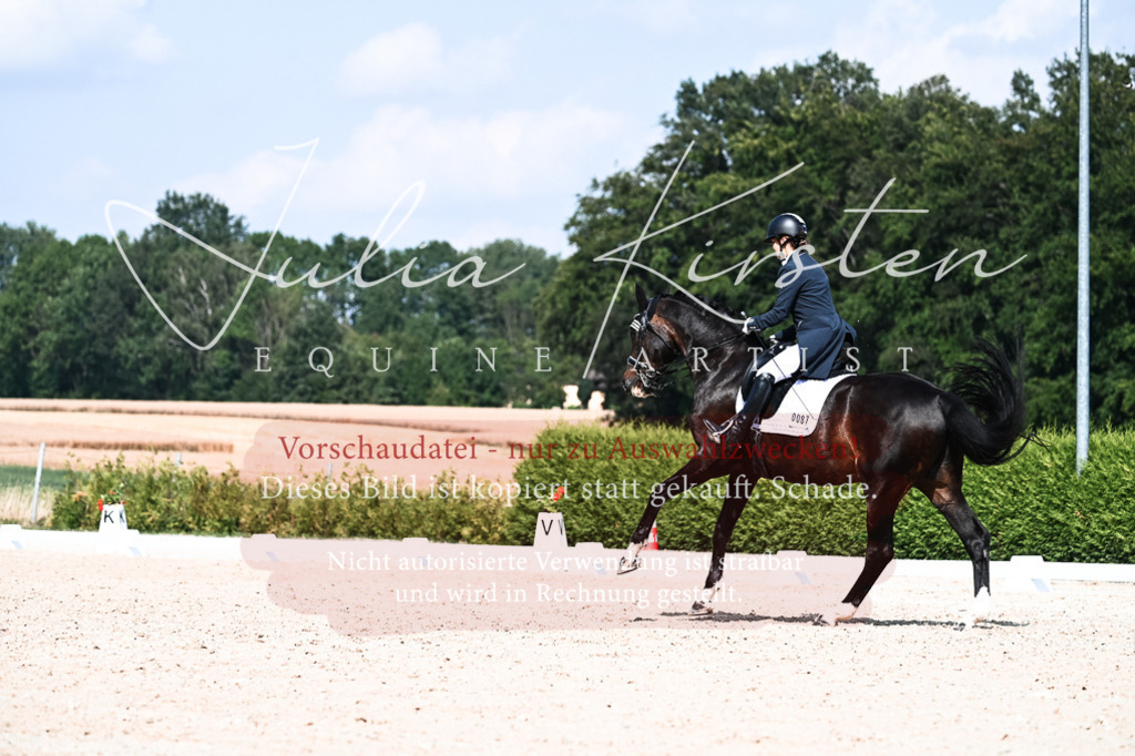 DSC_3337 | Pferde- und Turnierfotografie in Westsachsen. Pferdeportraits, Auftragszeichnungen und intuitive Kunst.