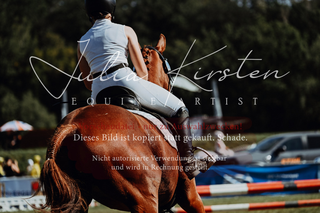 DSC_6971 | Pferde- und Turnierfotografie in Westsachsen. Pferdeportraits, Auftragszeichnungen und intuitive Kunst.