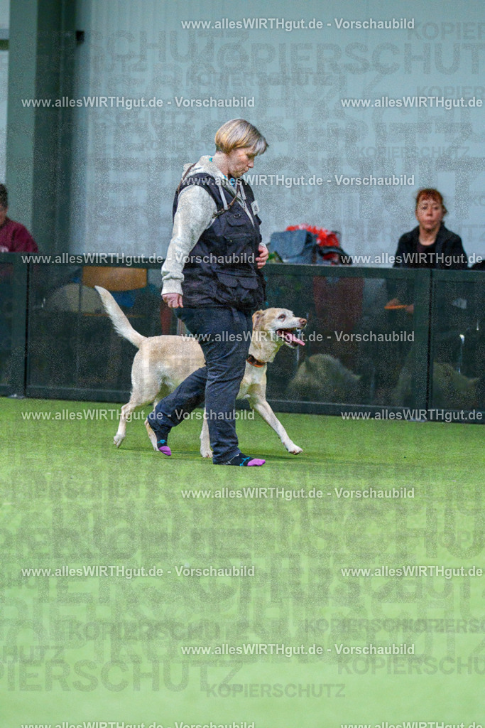 7R506313 | Professionelle Tierfotografie in Mönchengladbach von Daniel Wirth (allesWIRTHgut). Liebevolle & natürliche Bilder von Hunden & Katzen für unvergessliche Erinnerungen.