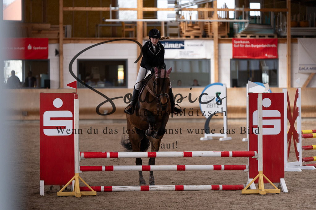 A7507563 | Pferdefotograf