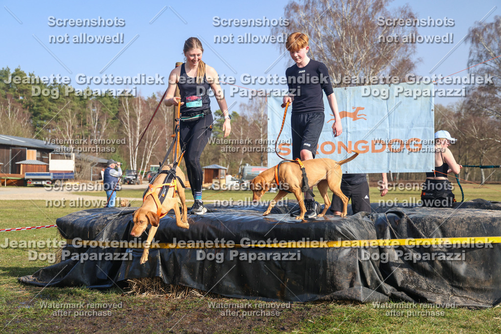 Dog Paparazzi - Strongdog North Mrz26-2904 | Dog Paparazzi Jeanette Grottendiek Fotografie & Videografie - Realisiert mit Pictrs.com
