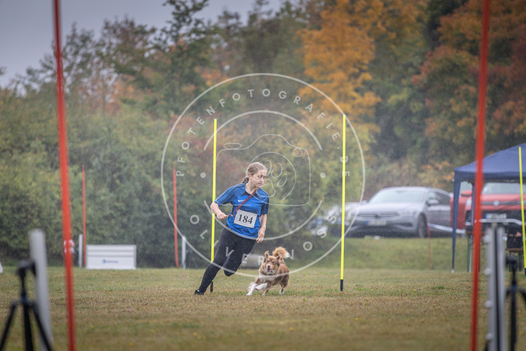 Pfotenfotografie_DV3A0031 | Hundefotografie, Tierfotograf, Pfotenfotografie, Fotoshooting Hund, Hunde Portrait, Hundesport, Hundeportraits, Heideshooting, Hunde, Sportfotograf, Hundefotograf, Turnierhundsport, THS,  - Realisiert mit Pictrs.com