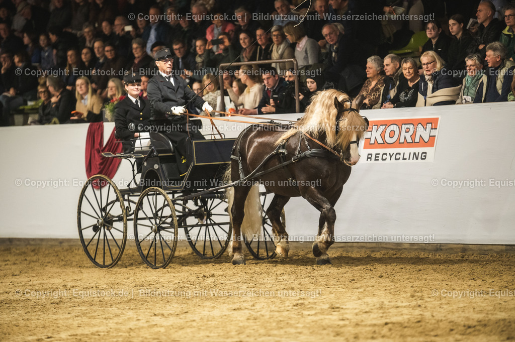 20240302_Hengstvorstellung_Marbach_TOMsPiC_0608 | equistock