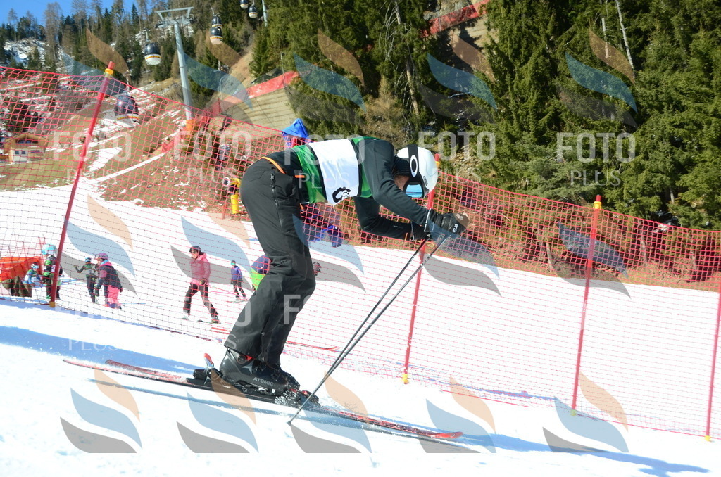 C6677 | holidayphoto