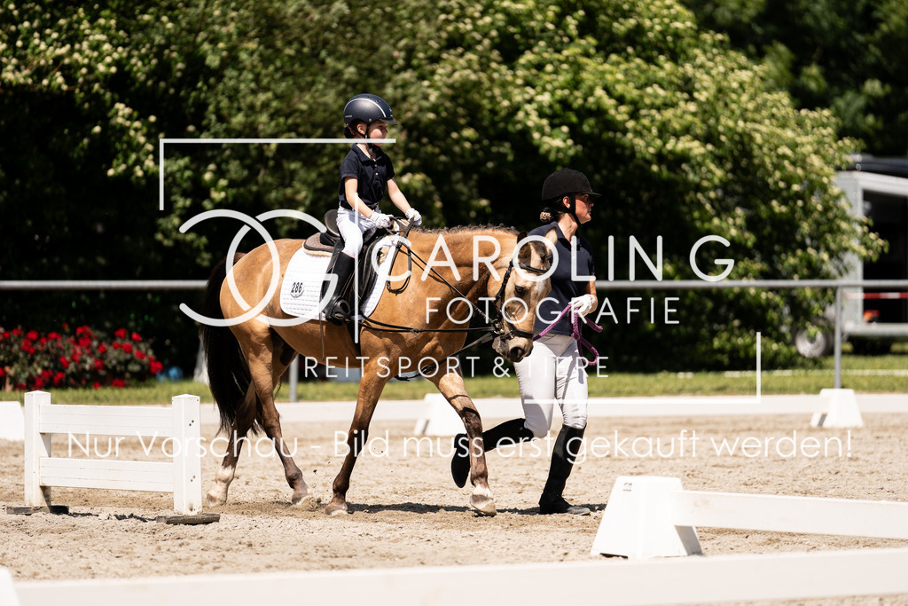 DSC00884 | Carolin Gieschke