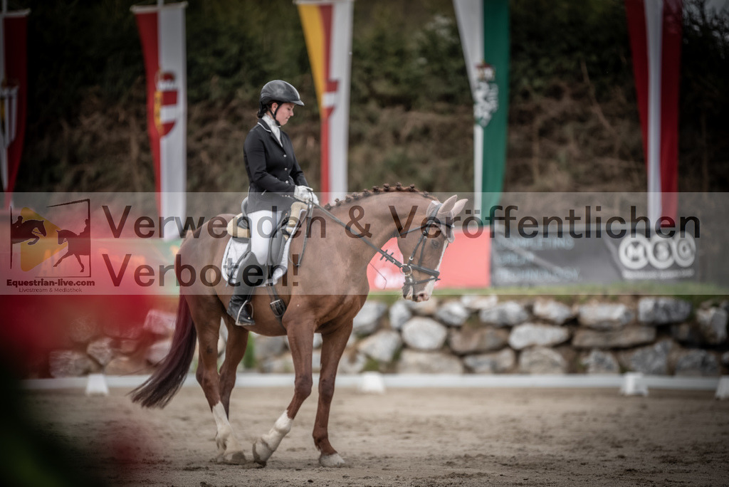 DSC_3057 | equestrian-live-com