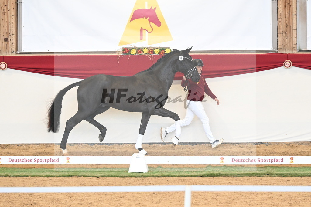 Kat.-Nr. 64 v. Fürst Samarant_Beckmann_3260924 | hf-fotografie - Realizzato con Pictrs.com