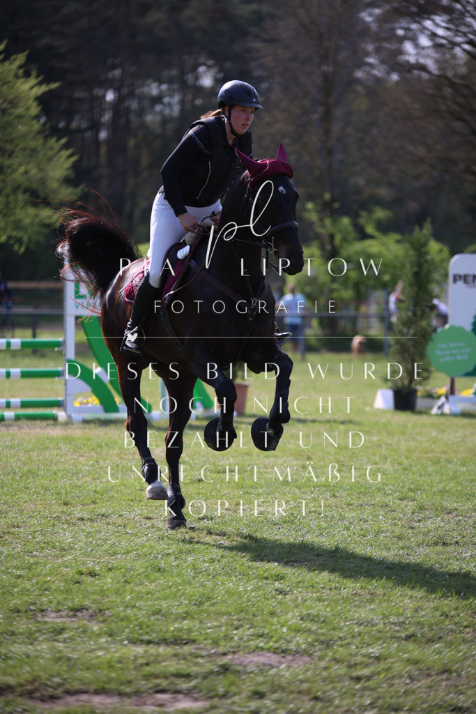 IMGT9148 | pl-fotografie