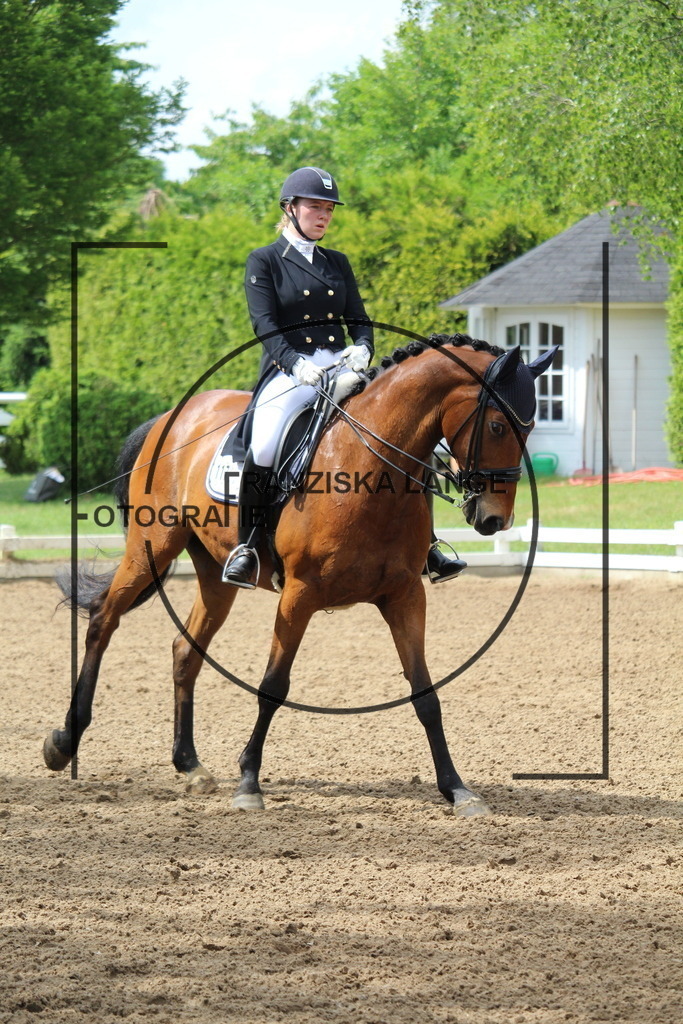 IMG_8759 | franziskalange - Realisiert mit Pictrs.com