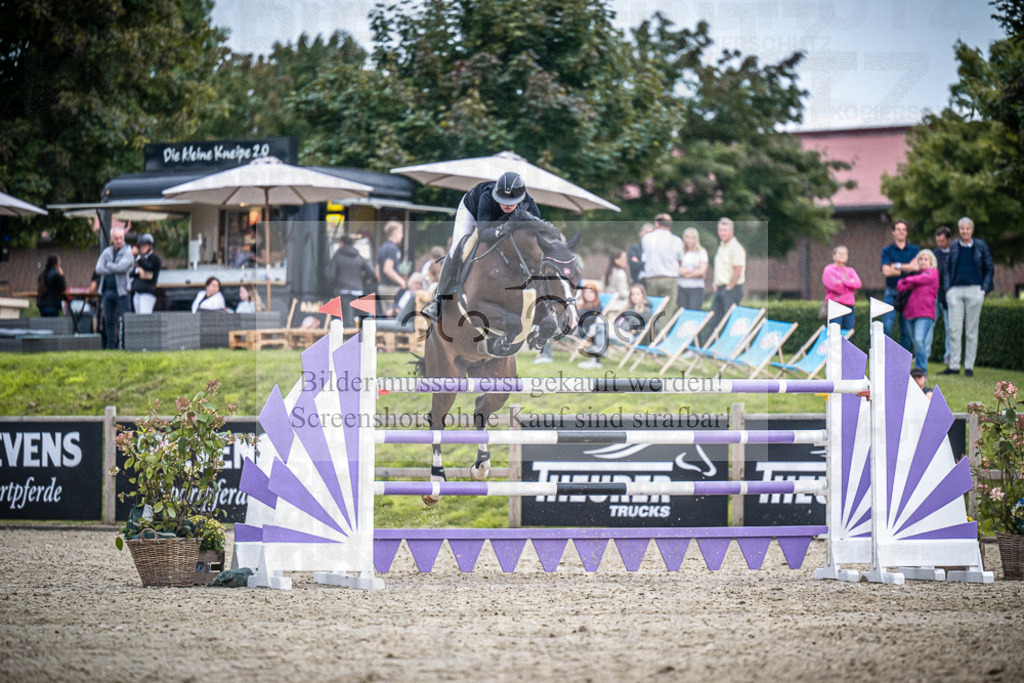 DOS_8222 | Entdecke hochwertige Reitturnierfotos von Foto Oger. Professionell, emotional und authentisch – jetzt Lieblingsmomente im Shop bestellen.Deutschlandweite Turnierfotografie. - Realisiert mit Pictrs.com
