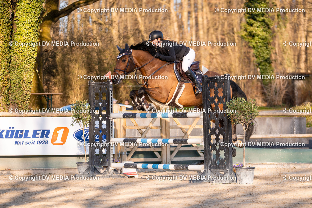 Kranichstein Tag 2-1079 | dv-media-shop - Realisiert mit Pictrs.com