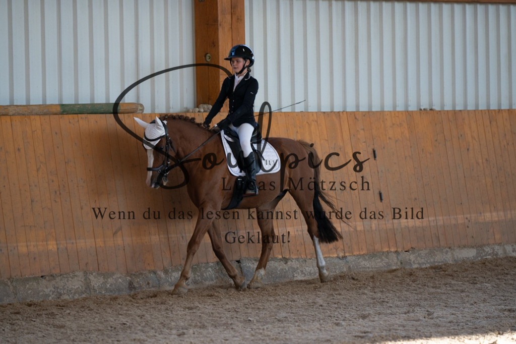 A7V01708 | Turnier/Reitfotograf