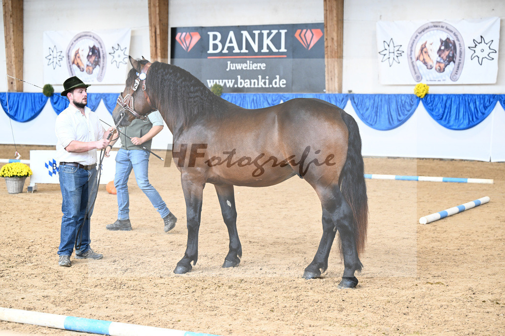 Kat-Nr. 32 nn v. Schorschi_Abeltshauser_39250556 | hf-fotografie - Realizzato con Pictrs.com
