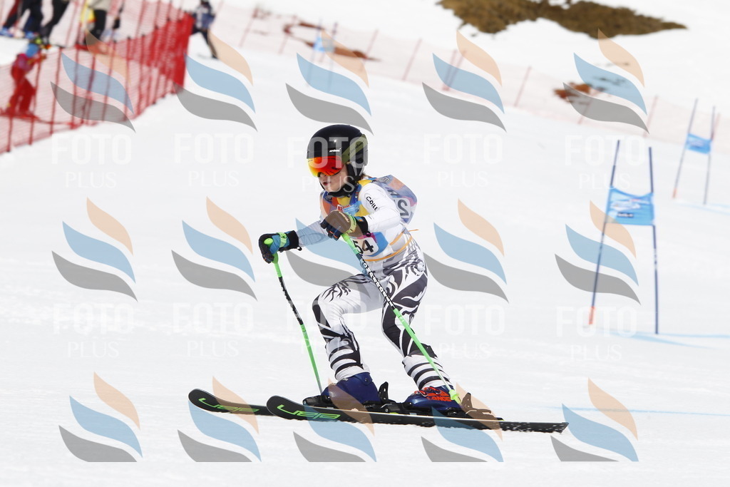 _U3G6397 | holidayphoto