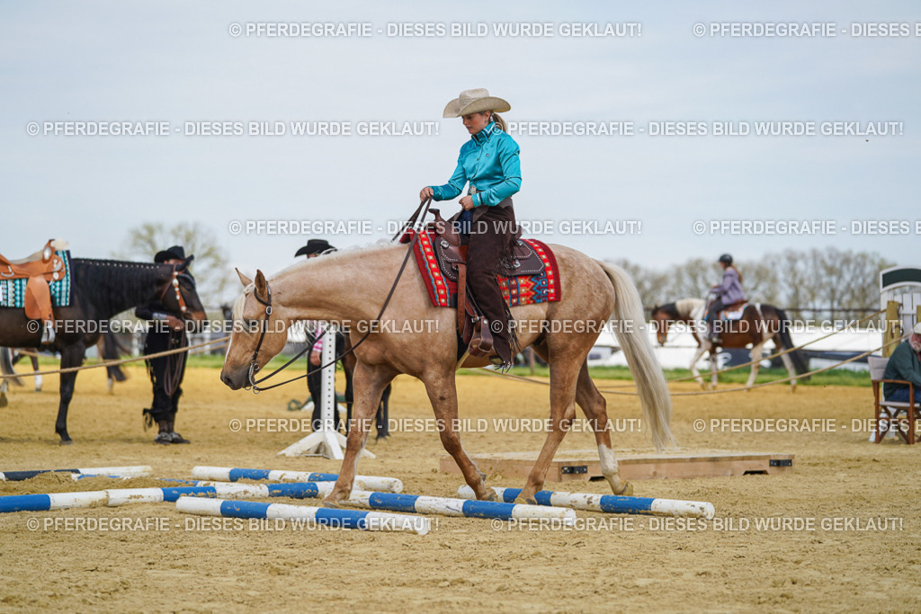 DSC05439 | Pferdegrafie