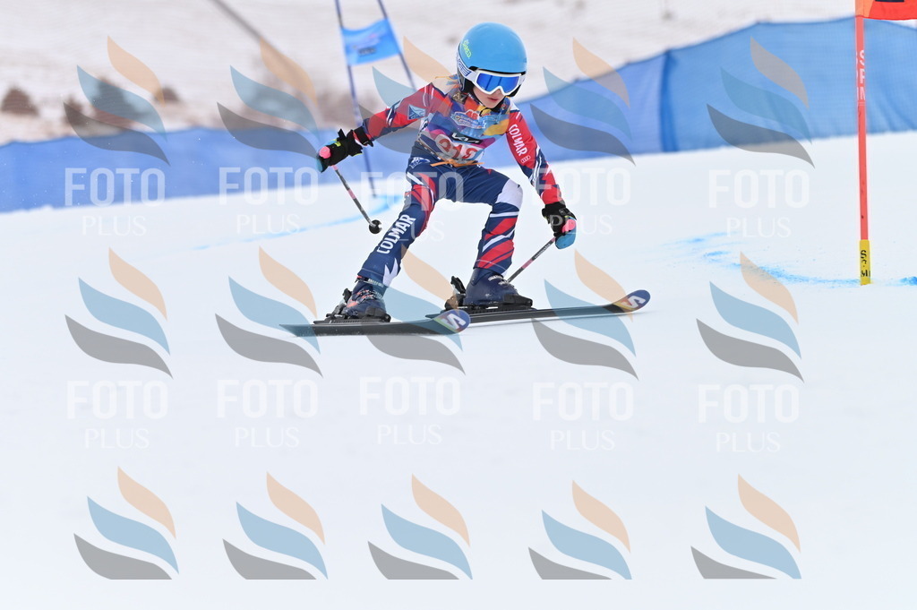 BGV_2925 | holidayphoto